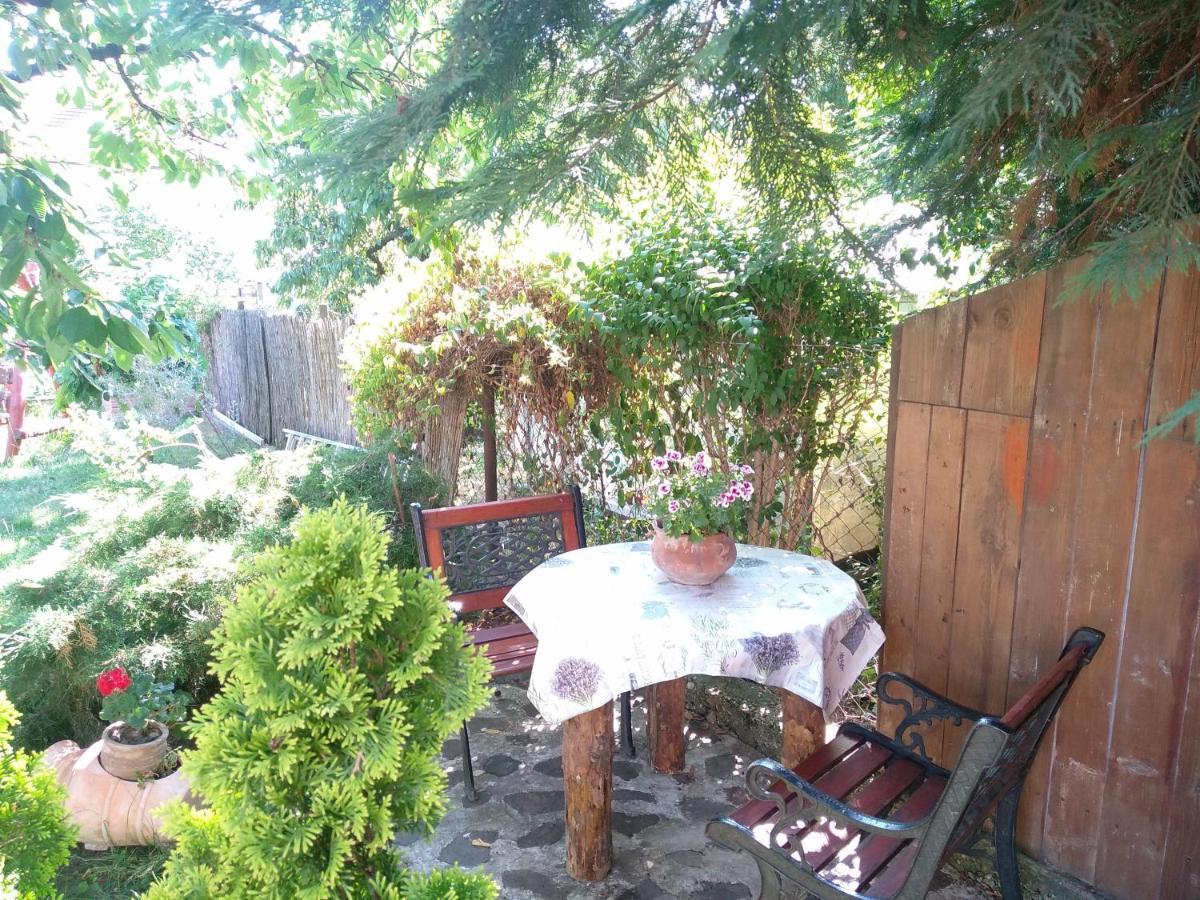 Apartment Greti Sarospatak